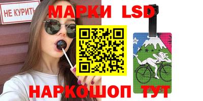 дживик Кингисепп