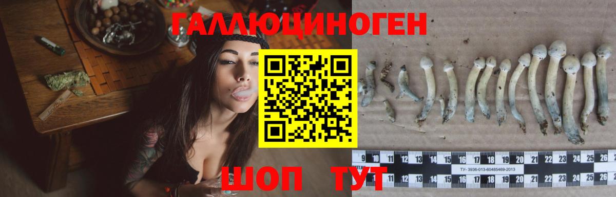 Галлюциногенные грибы Psilocybe  Вход с VPN  Слободской  Псилоцибиновые грибы ЛСД 